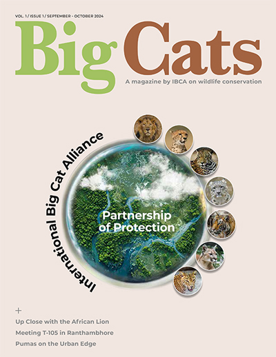 Big-Cat-Magazine-1
