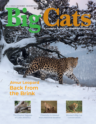 Big-Cat-Magazine-2