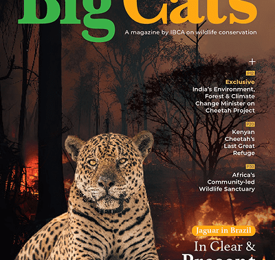 BigCats Magazine Mar-Apr edition 2025