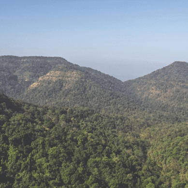 WhatsApp Image 2025-07-04 at 17.43.29_2dae388c 1