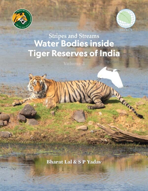 Stripes and Streams: Water Bodies inside India’s Tiger Reserves