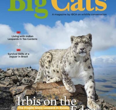 BigCats Magazine March - April edition 2026