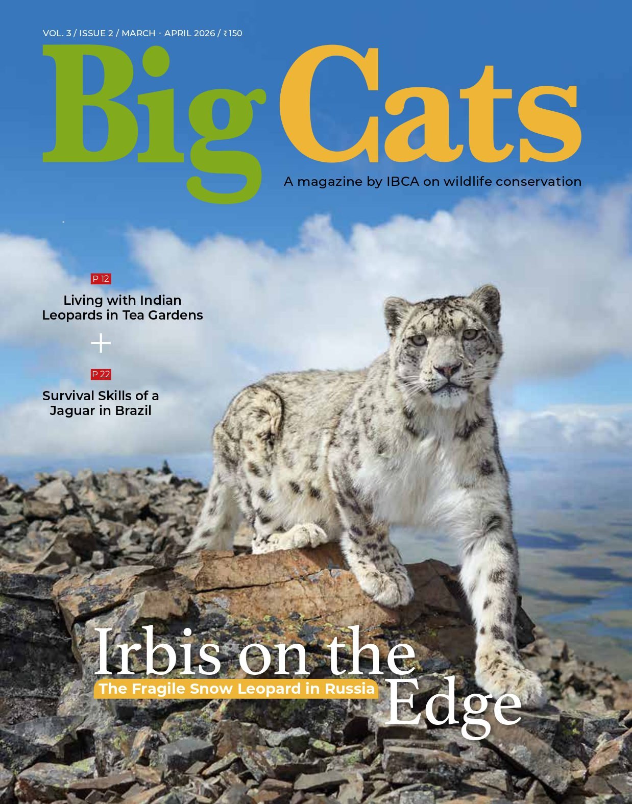 BigCats Magazine March - April edition 2026