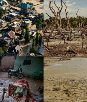 El Niño_ Understanding the Enigma in Times of Climate Change